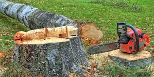 Best Commercial Tree Services  in Baldwin, NY
